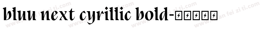 bluu next cyrillic bold字体转换